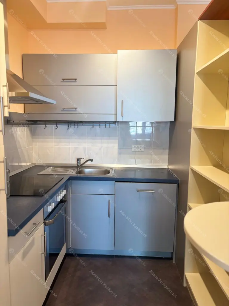 Kiadó albérlet 280000 Ft/hó áron: Budapest, XIII. kerület  Danubius utca. Mérete: 44 nm, 1 szobás | Alberlet.hu - 6668445