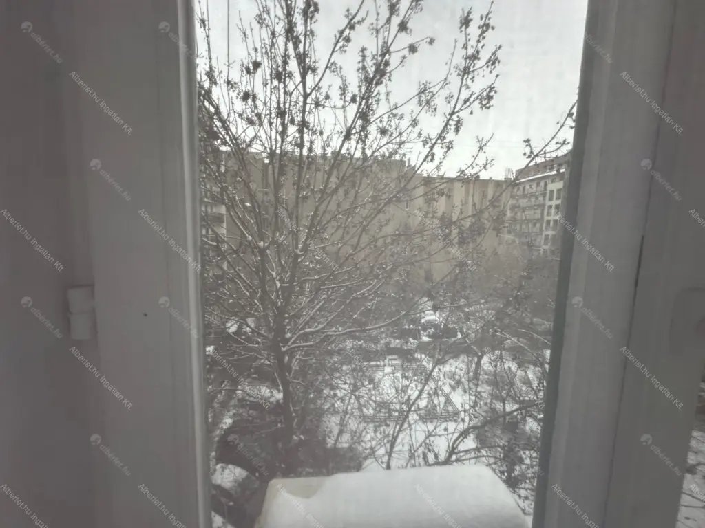 Kiadó albérlet 395000 Ft/hó áron: Budapest, XIII. kerület  Hegedűs Gyula utca. Mérete: 67 nm, 2 szobás | Alberlet.hu - 6668433