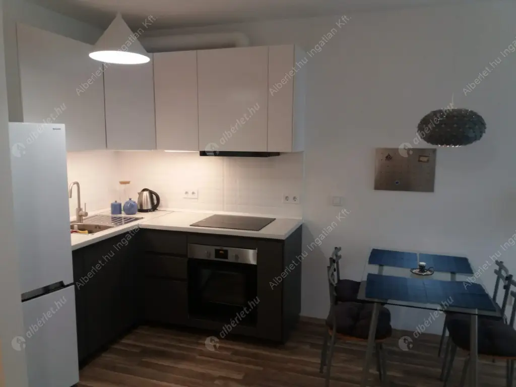 Kiadó albérlet 250000 Ft/hó áron: Budapest, XIII. kerület  Jász utca. Mérete: 45 nm, 1 szobás | Alberlet.hu - 6635332