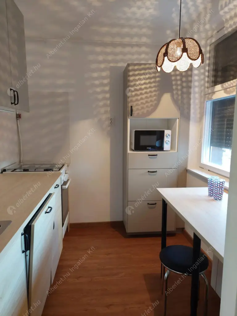 Kiadó albérlet 310000 Ft/hó áron: Budapest, XIII. kerület  Kárpát utca. Mérete: 54 nm, 1 szobás | Alberlet.hu - 6626428