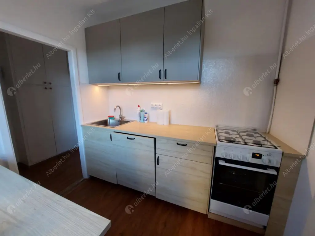 Kiadó albérlet 310000 Ft/hó áron: Budapest, XIII. kerület  Kárpát utca. Mérete: 54 nm, 1 szobás | Alberlet.hu - 6626430