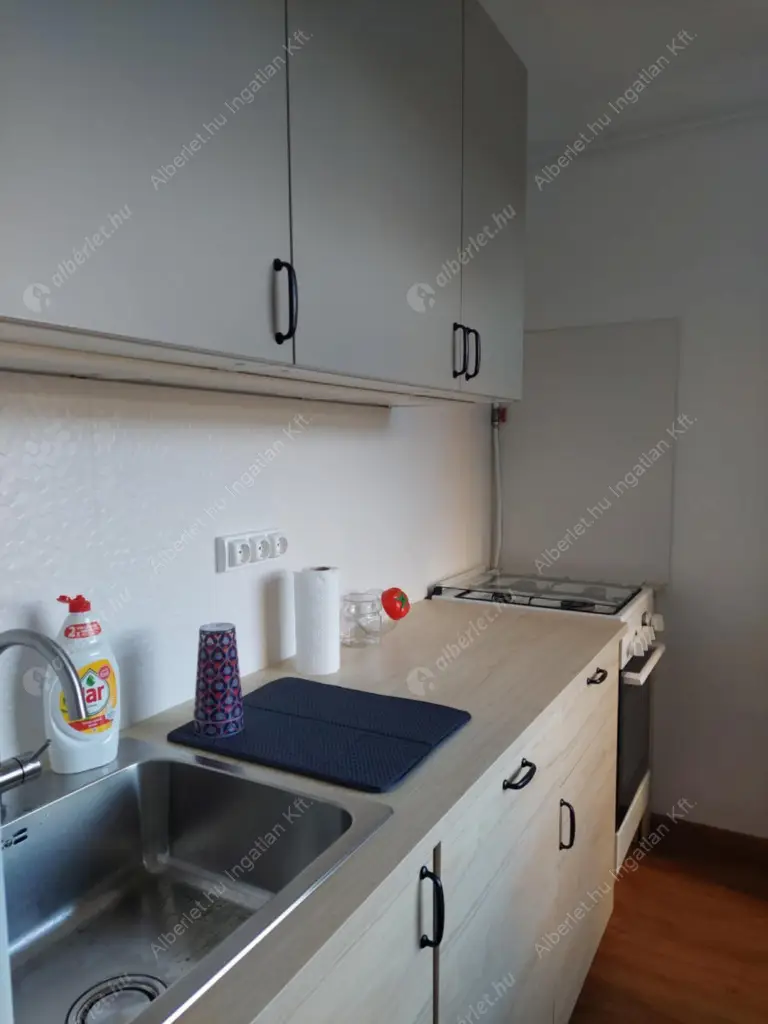 Kiadó albérlet 310000 Ft/hó áron: Budapest, XIII. kerület  Kárpát utca. Mérete: 54 nm, 1 szobás | Alberlet.hu - 6626432