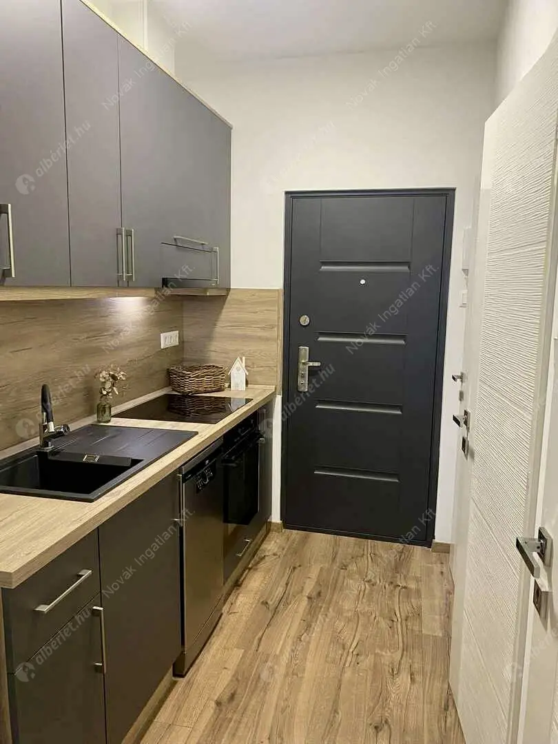 Kiadó albérlet 250000 Ft/hó áron: Budapest, XIII. kerület  Lehel utca. Mérete: 45 nm, 1 szobás | Alberlet.hu - 6569545