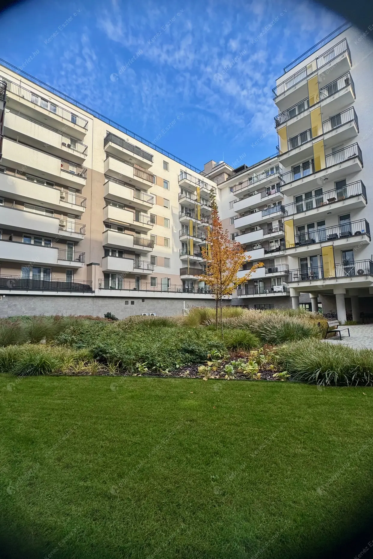 Kiadó albérlet 319000 Ft/hó áron: Budapest, XIII. kerület  Lőportár utca. Mérete: 46 nm, 2 szobás | Alberlet.hu - 6616480