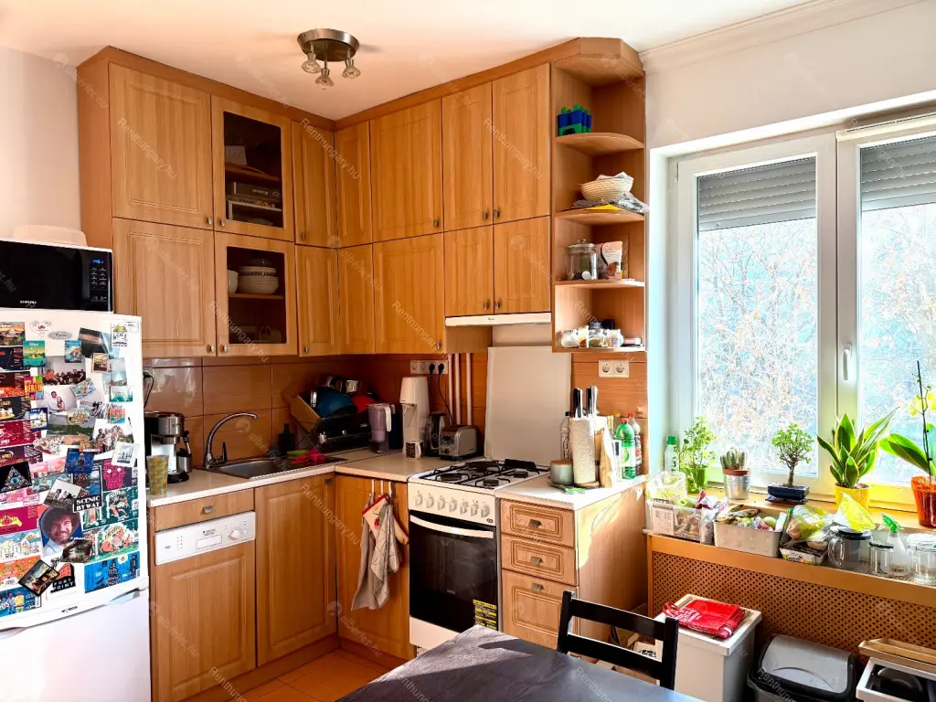 Kiadó albérlet 230000 Ft/hó áron: Budapest, XIII. kerület  Máglya köz. Mérete: 55 nm, 2 szobás | Alberlet.hu - 6654340