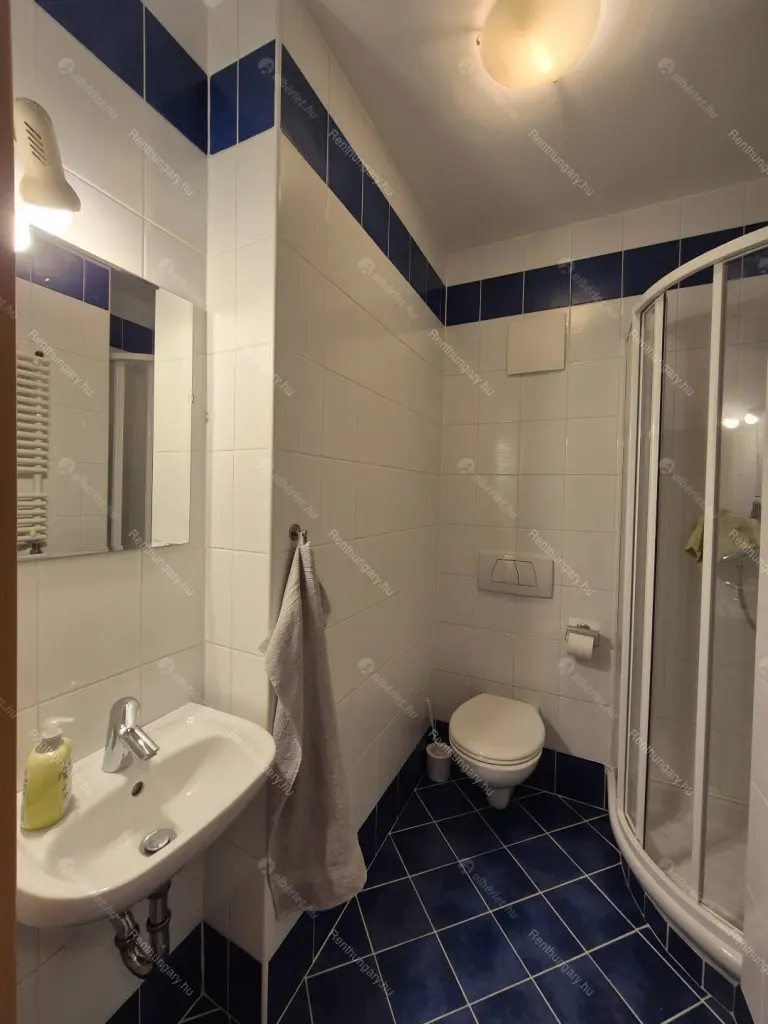 Kiadó albérlet 460000 Ft/hó áron: Budapest, XIII. kerület  Népfürdő utca. Mérete: 81 nm, 3 szobás | Alberlet.hu - 6691989