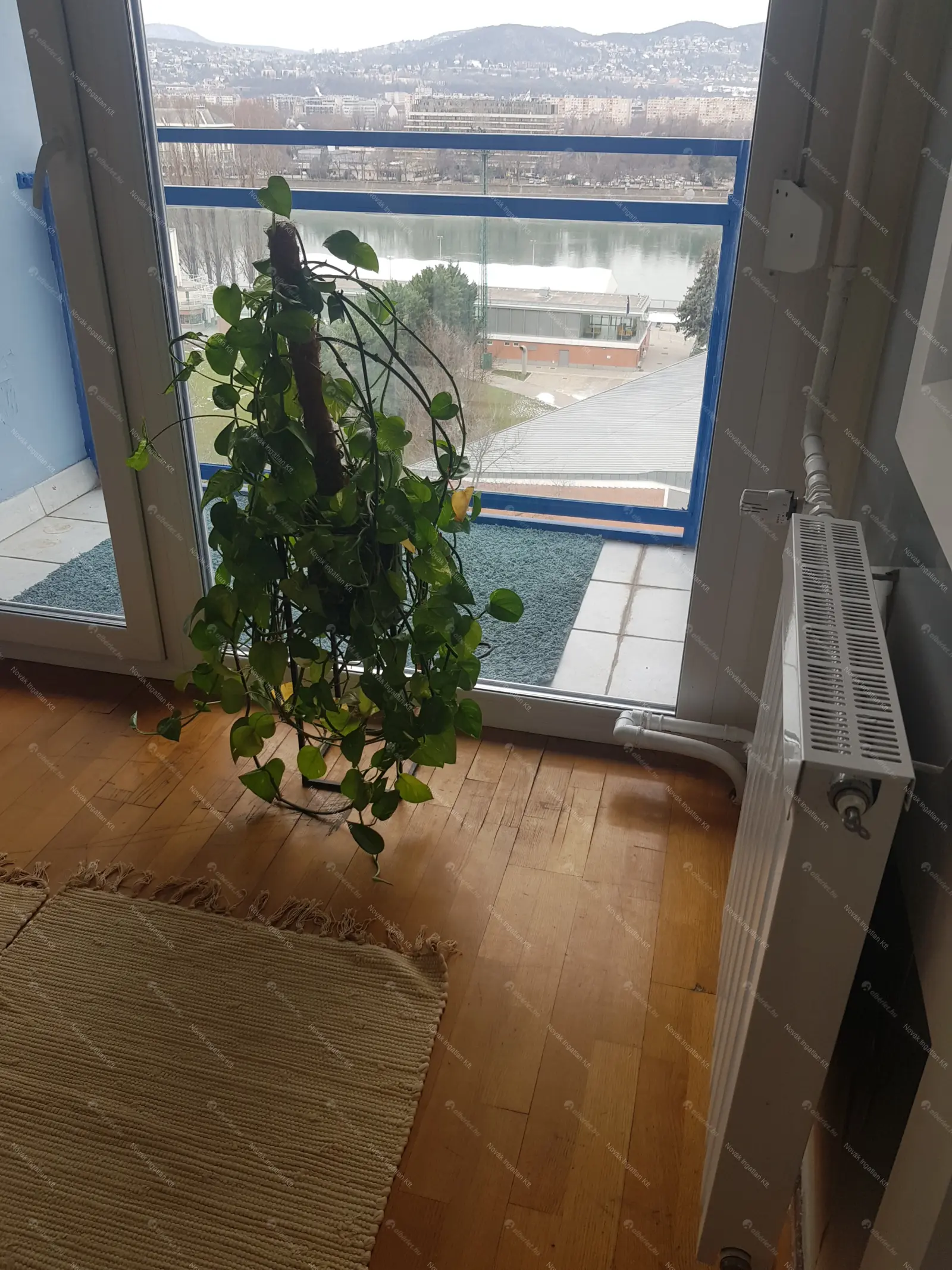 Kiadó albérlet 380000 Ft/hó áron: Budapest, XIII. kerület  Népfürdő utca. Mérete: 81 nm, 3 szobás | Alberlet.hu - 6650355