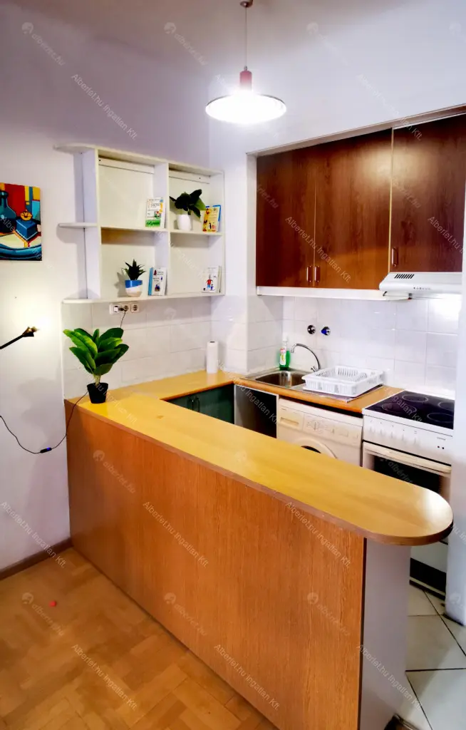 Kiadó albérlet 195000 Ft/hó áron: Budapest, XIII. kerület  Pannónia utca. Mérete: 40 nm, 1 szobás | Alberlet.hu - 6706681