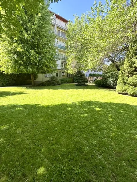 Kiadó albérlet 240000 Ft/hó áron: Budapest, XIII. kerület  Petneházy utca. Mérete: 40 nm, 1 szobás | Alberlet.hu - 6722123