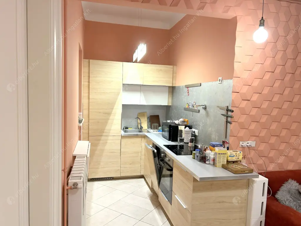 Kiadó albérlet 340000 Ft/hó áron: Budapest, XIII. kerület  Raoul Wallenberg utca. Mérete: 61 nm, 2 szobás | Alberlet.hu - 6587560