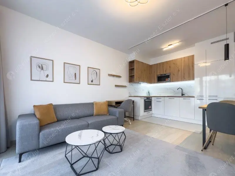 Kiadó albérlet 320000 Ft/hó áron: Budapest, XIII. kerület  Rozsnyay utca. Mérete: 41 nm, 1 szobás | Alberlet.hu - 6632352