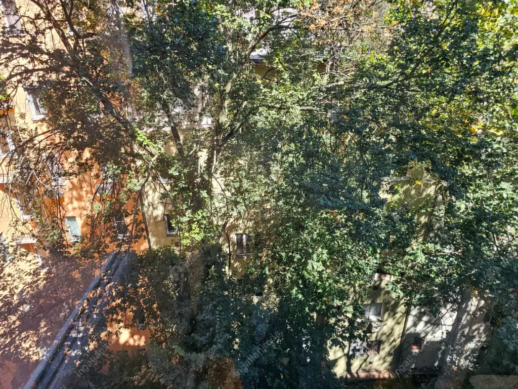 Kiadó albérlet 576000 Ft/hó áron: Budapest, XIII. kerület  Szent István park. Mérete: 113 nm, 3 szobás | Alberlet.hu - 6547574