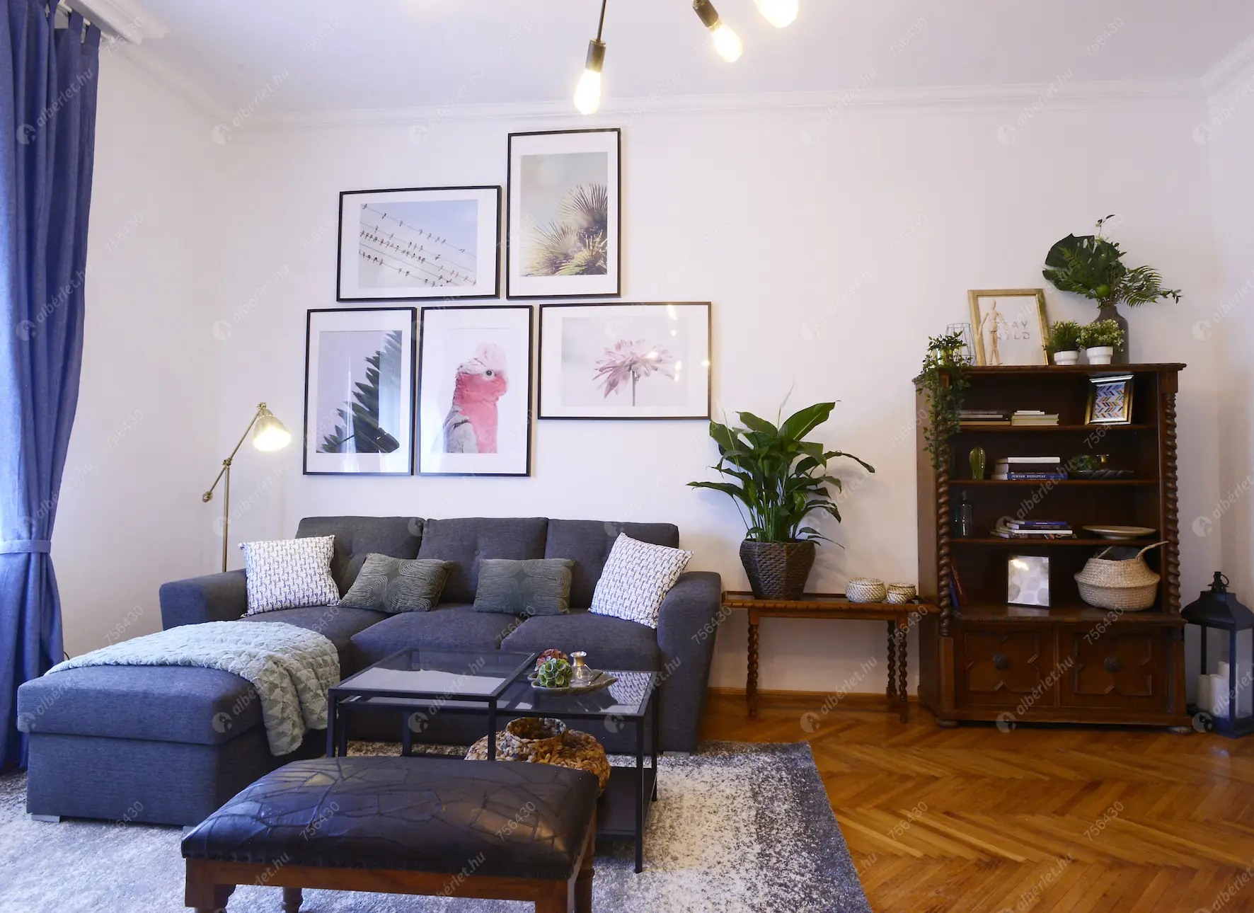 Kiadó albérlet 280000 Ft/hó áron: Budapest, XIII. kerület  Tátra utca. Mérete: 55 nm, 2 szobás | Alberlet.hu - 6381058