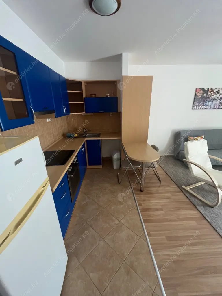 Kiadó albérlet 280000 Ft/hó áron: Budapest, XIII. kerület  Visegrádi utca. Mérete: 44 nm, 1 szobás | Alberlet.hu - 6513976