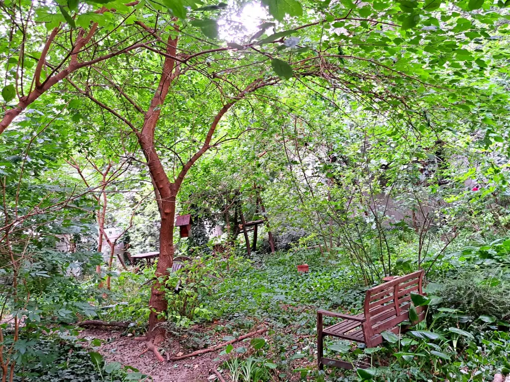 Kiadó albérlet 420000 Ft/hó áron: Budapest, XIII. kerület  Visegrádi utca. Mérete: 70 nm, 3 szobás | Alberlet.hu - 6656015