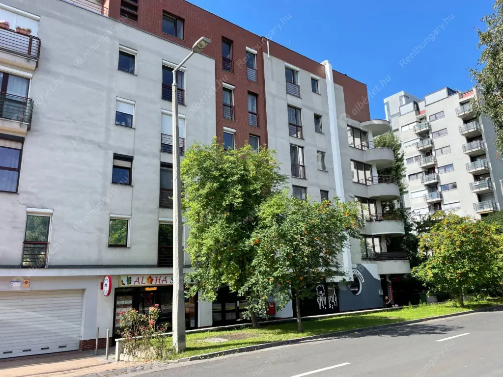 Kiadó albérlet 850000 Ft/hó áron: Budapest, XIII. kerület  Viza utca. Mérete: 120 nm, 3 szobás | Alberlet.hu - 6595893