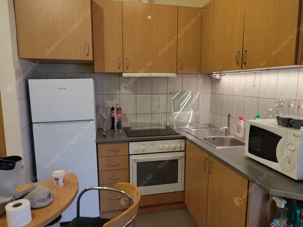 Kiadó albérlet 230000 Ft/hó áron: Budapest, XIV. kerület  Amerikai út. Mérete: 45 nm, 1 szobás | Alberlet.hu - 6596161