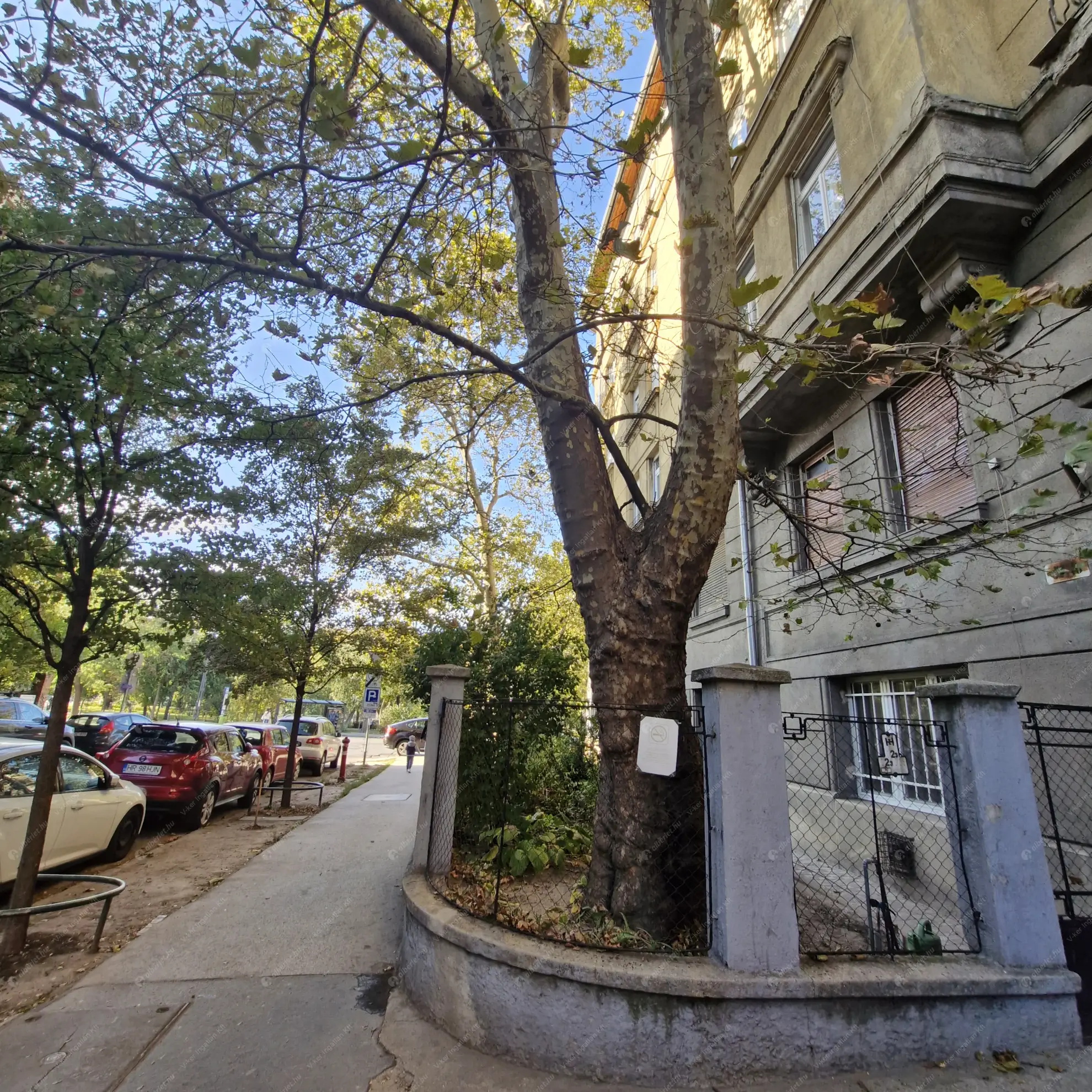 Kiadó albérlet 185000 Ft/hó áron: Budapest, XIV. kerület  Cházár András utca. Mérete: 33 nm, 1 szobás | Alberlet.hu - 6562305