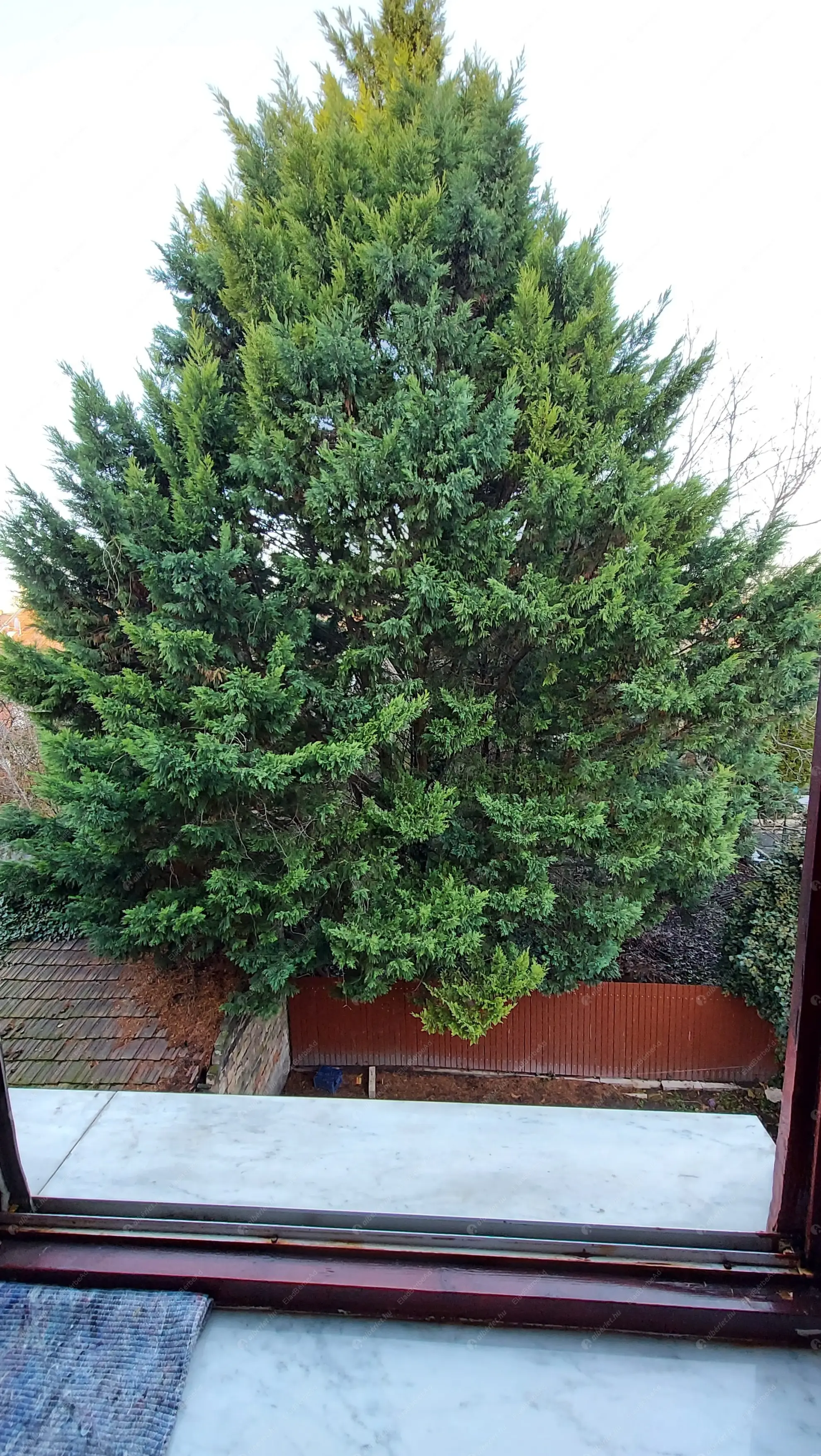 Kiadó albérlet 170000 Ft/hó áron: Budapest, XIV. kerület  Czobor utca. Mérete: 31 nm, 1 szobás | Alberlet.hu - 6572339