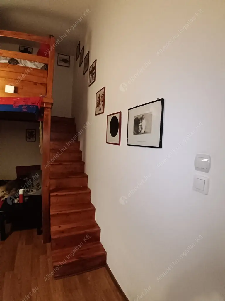 Kiadó albérlet 250000 Ft/hó áron: Budapest, XIV. kerület  Dózsa György út. Mérete: 29 nm, 1 szobás | Alberlet.hu - 6628562