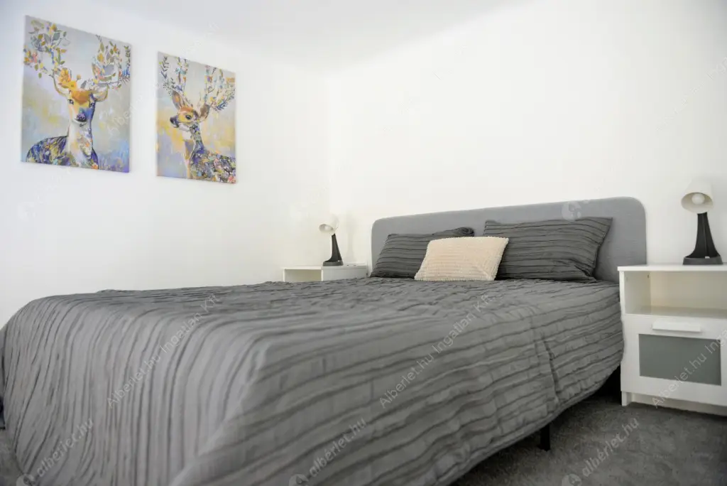 Kiadó albérlet 278000 Ft/hó áron: Budapest, XIV. kerület  Dózsa György út. Mérete: 37 nm, 1 szobás | Alberlet.hu - 6535387