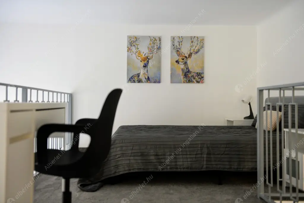 Kiadó albérlet 278000 Ft/hó áron: Budapest, XIV. kerület  Dózsa György út. Mérete: 37 nm, 1 szobás | Alberlet.hu - 6535393