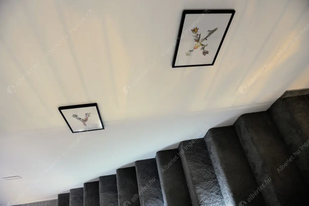 Kiadó albérlet 278000 Ft/hó áron: Budapest, XIV. kerület  Dózsa György út. Mérete: 37 nm, 1 szobás | Alberlet.hu - 6535394