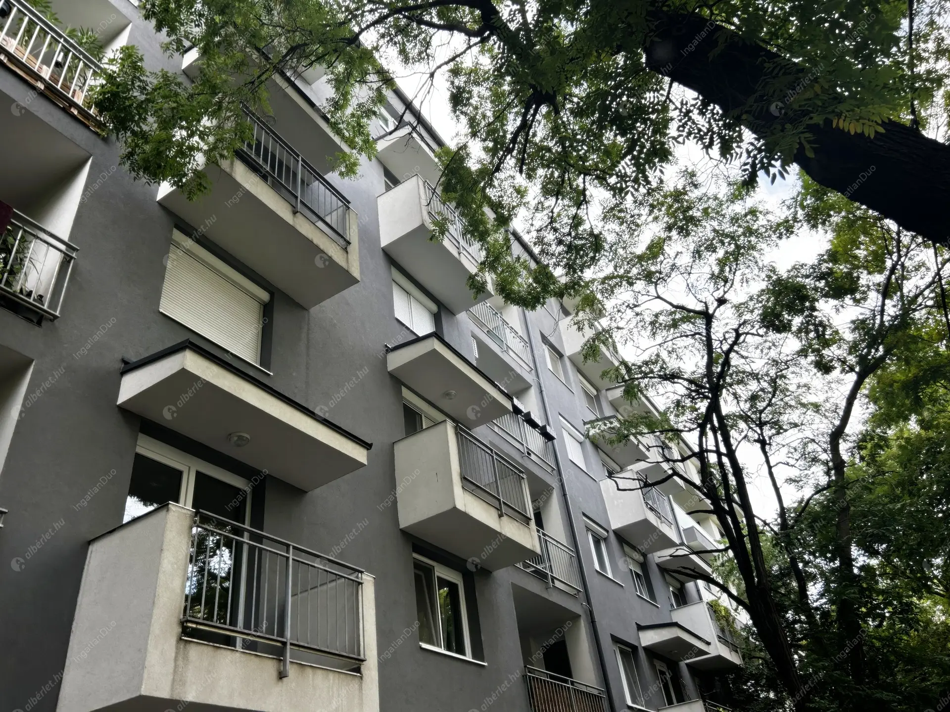 Kiadó albérlet 330000 Ft/hó áron: Budapest, XIV. kerület  Egressy út. Mérete: 65 nm, 3 szobás | Alberlet.hu - 6323806