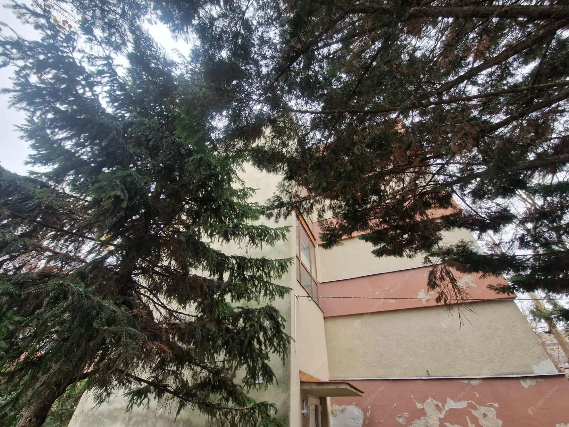 Kiadó albérlet 215000 Ft/hó áron: Budapest, XIV. kerület  Erzsébet királyné útja. Mérete: 54 nm, 2 szobás | Alberlet.hu - 6593649