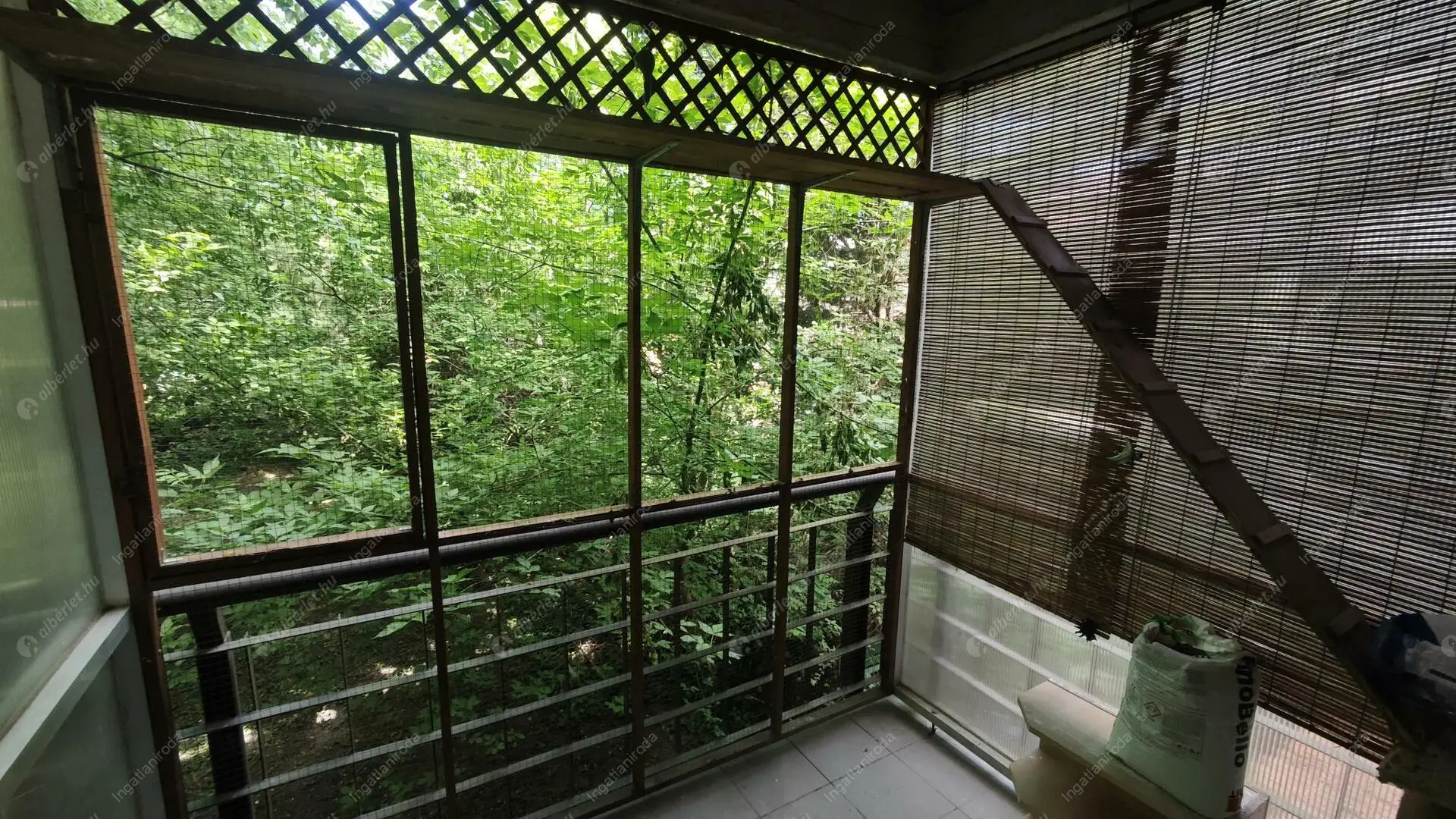 Kiadó albérlet 190000 Ft/hó áron: Budapest, XIV. kerület  Gödöllői utca. Mérete: 46 nm, 1 szobás | Alberlet.hu - 6262365