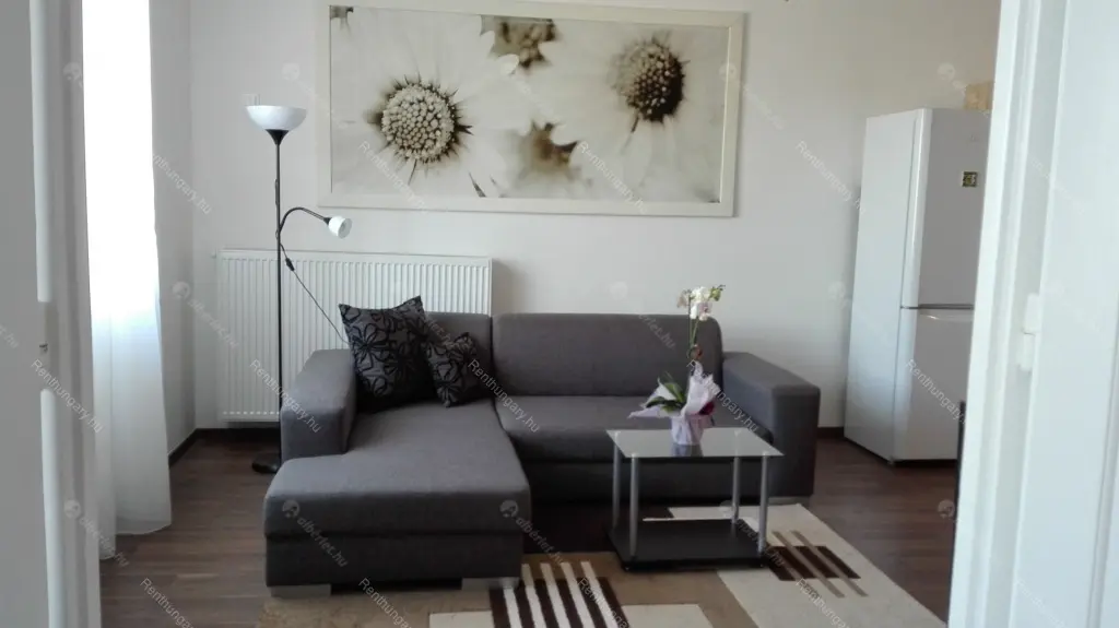 Kiadó albérlet 280000 Ft/hó áron: Budapest, XIV. kerület  Hungária körút. Mérete: 64 nm, 2 szobás | Alberlet.hu - 6656158