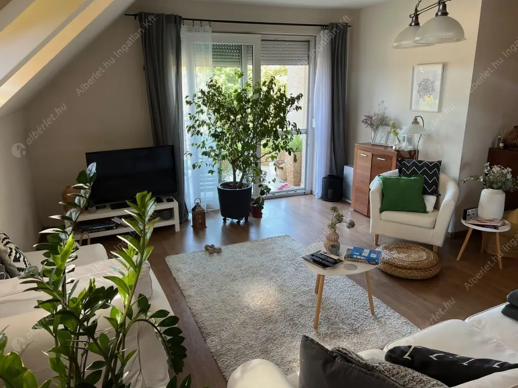 Kiadó albérlet 390000 Ft/hó áron: Budapest, XIV. kerület  Kerékgyártó utca. Mérete: 75 nm, 1 szobás | Alberlet.hu - 6524575