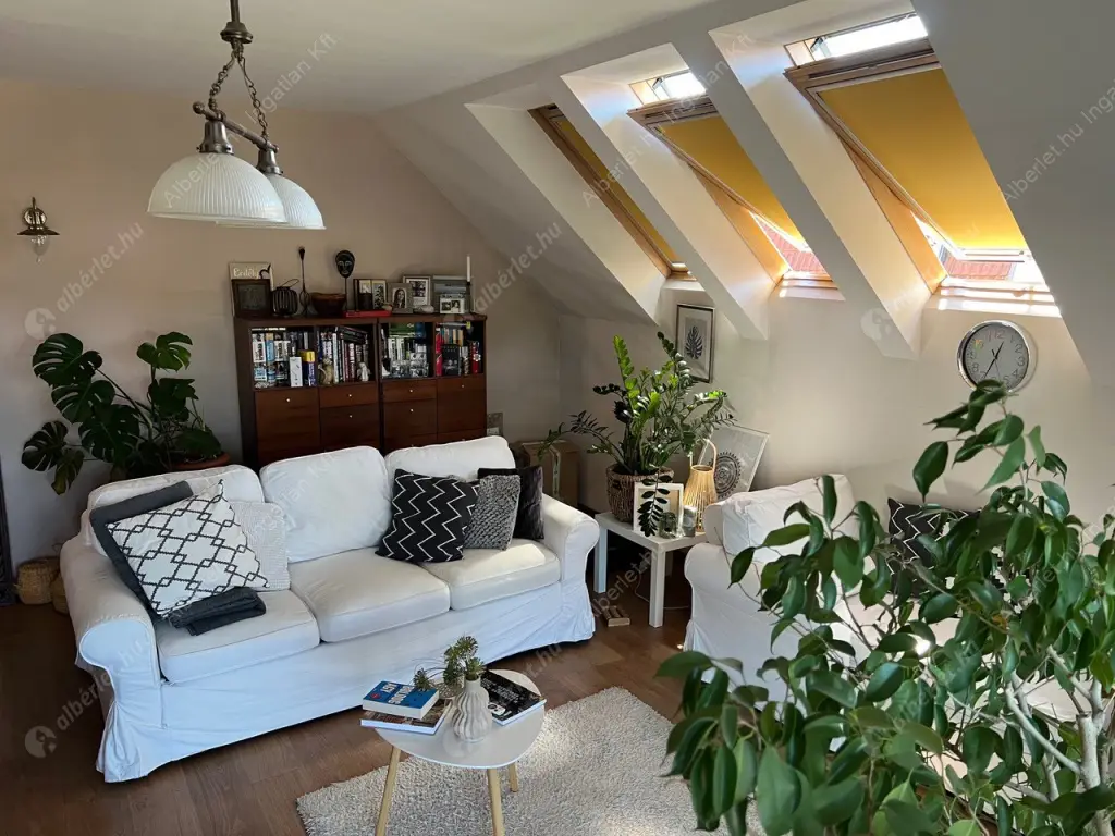 Kiadó albérlet 390000 Ft/hó áron: Budapest, XIV. kerület  Kerékgyártó utca. Mérete: 75 nm, 1 szobás | Alberlet.hu - 6524576