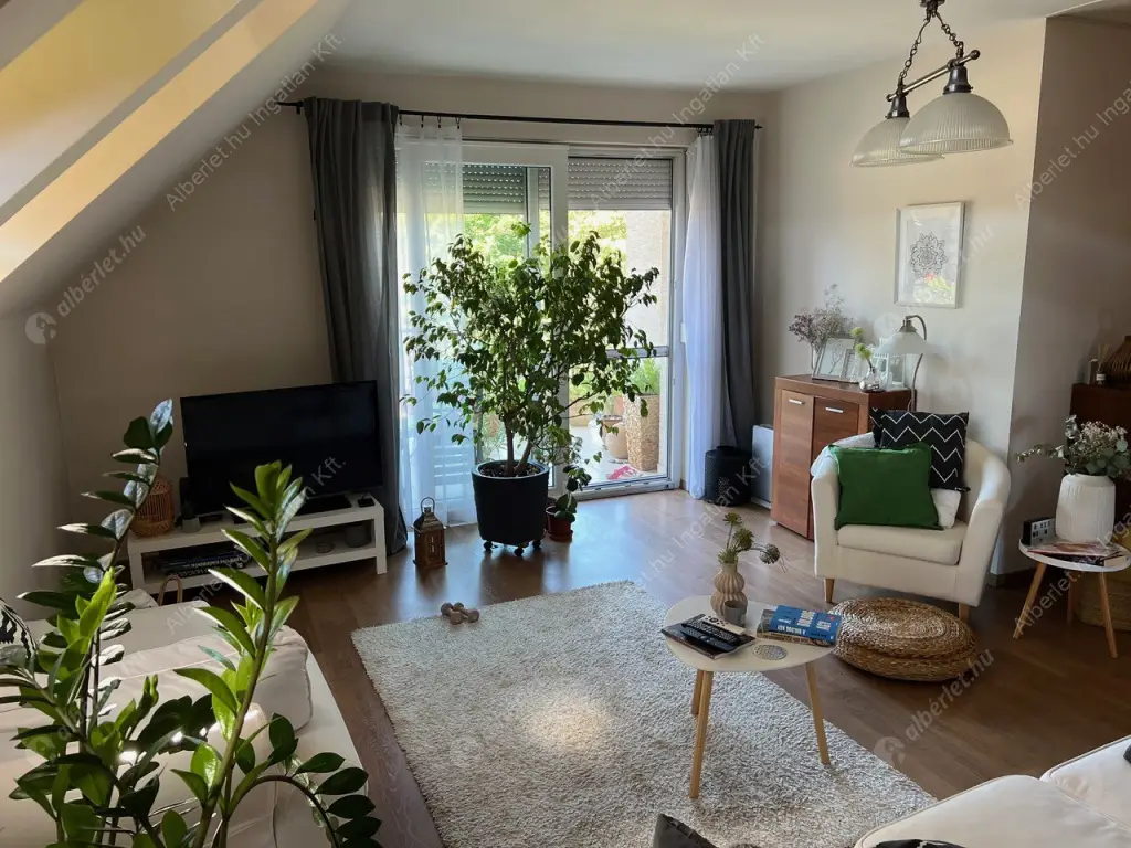 Kiadó albérlet 390000 Ft/hó áron: Budapest, XIV. kerület  Kerékgyártó utca. Mérete: 75 nm, 1 szobás | Alberlet.hu - 6524577