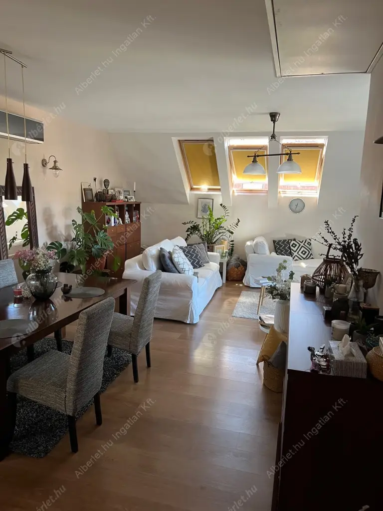 Kiadó albérlet 390000 Ft/hó áron: Budapest, XIV. kerület  Kerékgyártó utca. Mérete: 75 nm, 1 szobás | Alberlet.hu - 6524578