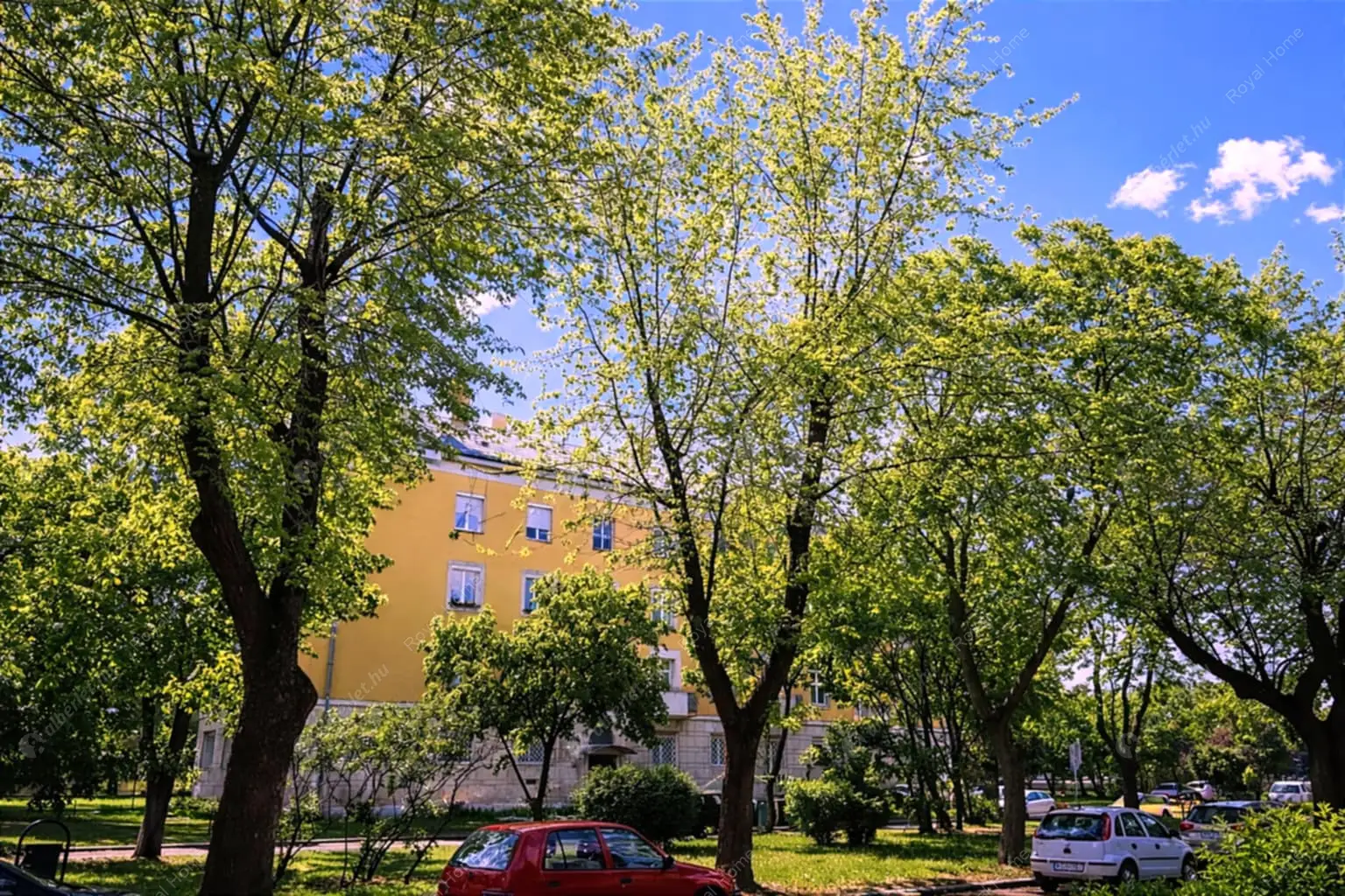 Kiadó albérlet 189000 Ft/hó áron: Budapest, XIV. kerület  Kerepesi út. Mérete: 39 nm, 1 szobás | Alberlet.hu - 6608670