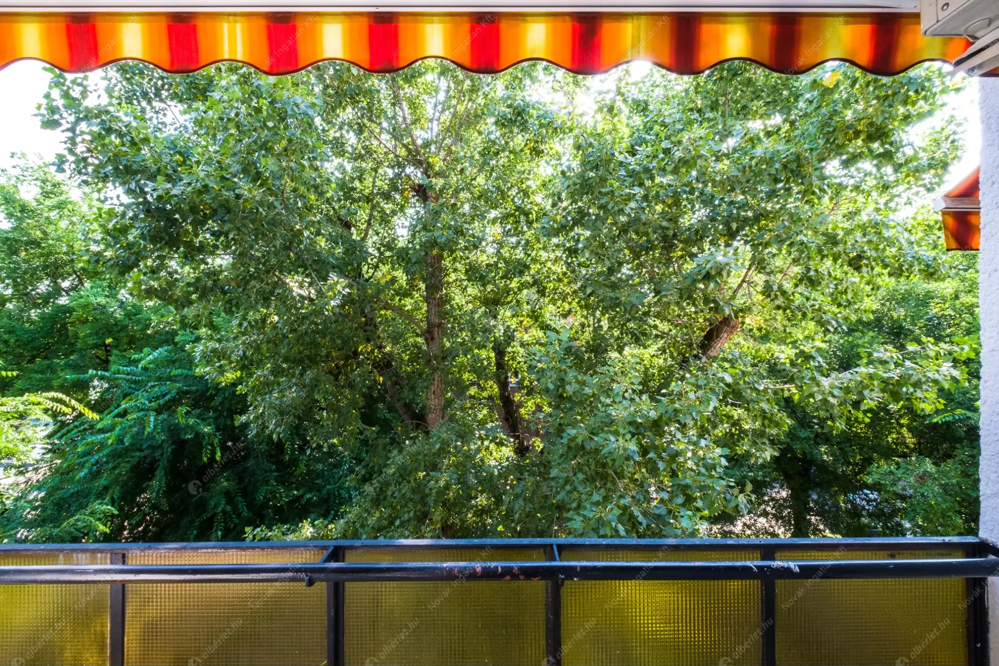 Kiadó albérlet 270000 Ft/hó áron: Budapest, XIV. kerület  Laky Adolf utca. Mérete: 52 nm, 2 szobás | Alberlet.hu - 6629629