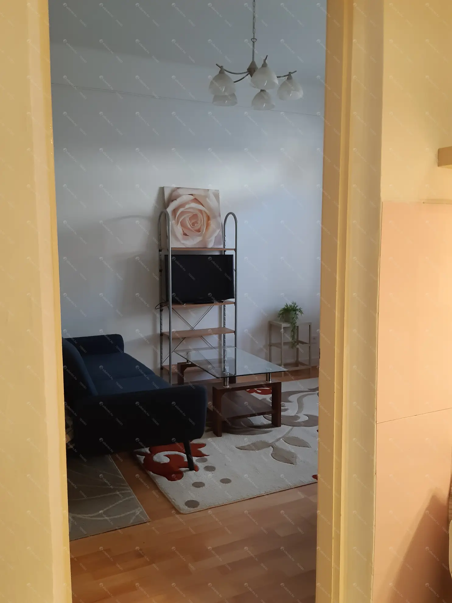 Kiadó albérlet 180000 Ft/hó áron: Budapest, XIV. kerület  Nagy Lajos király útja. Mérete: 32 nm, 1 szobás | Alberlet.hu - 6569776