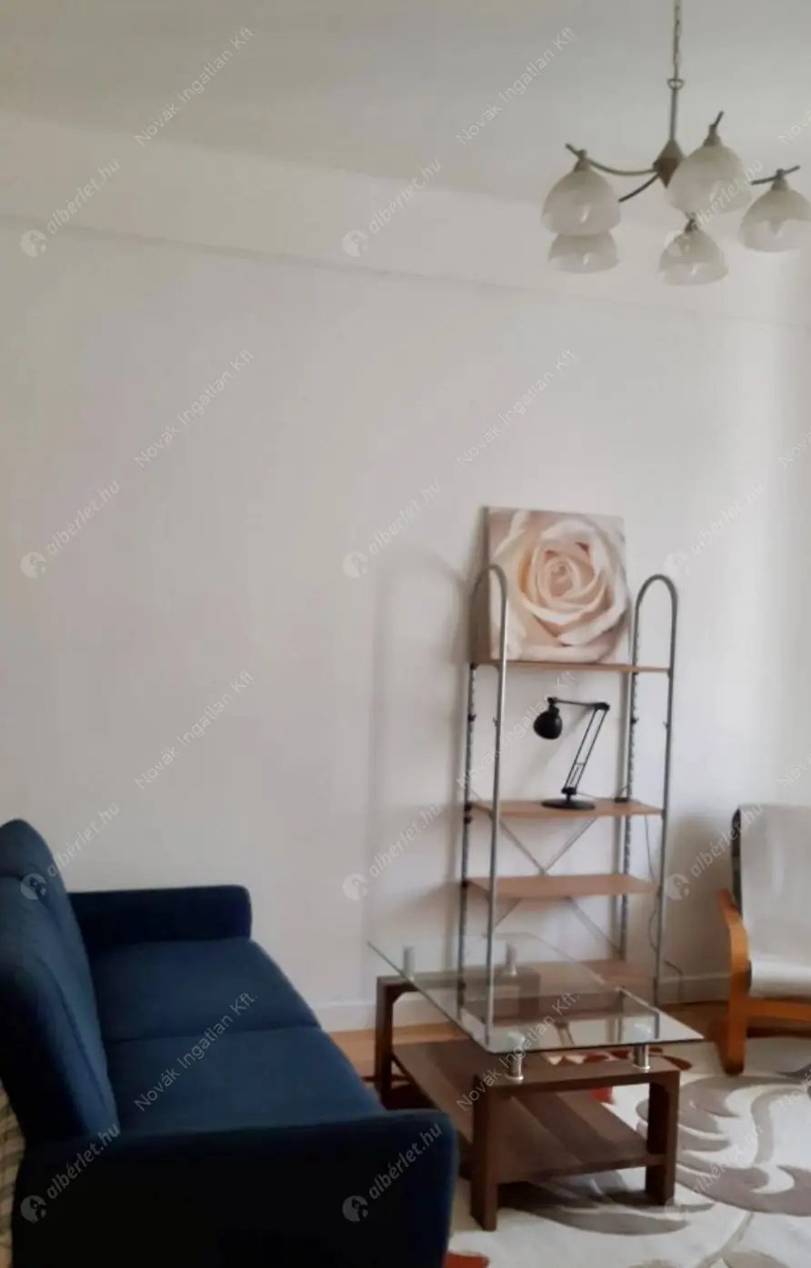 Kiadó albérlet 180000 Ft/hó áron: Budapest, XIV. kerület  Nagy Lajos király útja. Mérete: 32 nm, 1 szobás | Alberlet.hu - 6568638