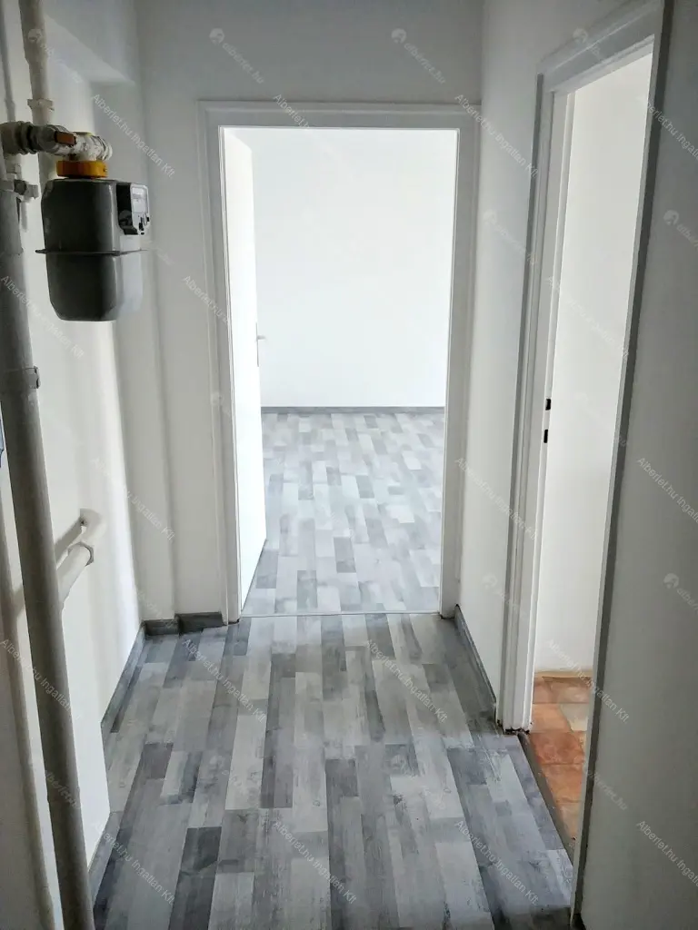 Kiadó albérlet 170000 Ft/hó áron: Budapest, XIV. kerület  Padlizsán utca. Mérete: 39 nm, 1 szobás | Alberlet.hu - 6694014