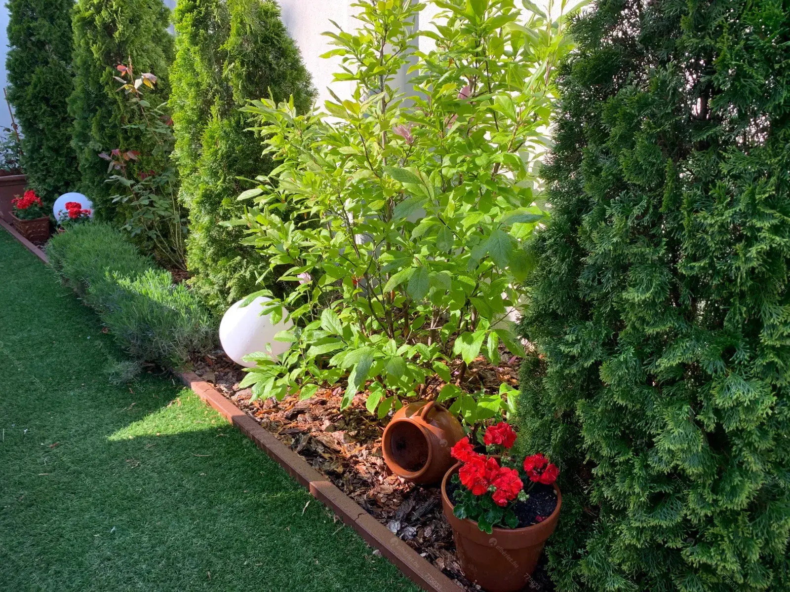 Kiadó albérlet 160000 Ft/hó áron: Budapest, XIV. kerület  Pándorfalu utca. Mérete: 22 nm, 1 szobás | Alberlet.hu - 6659895