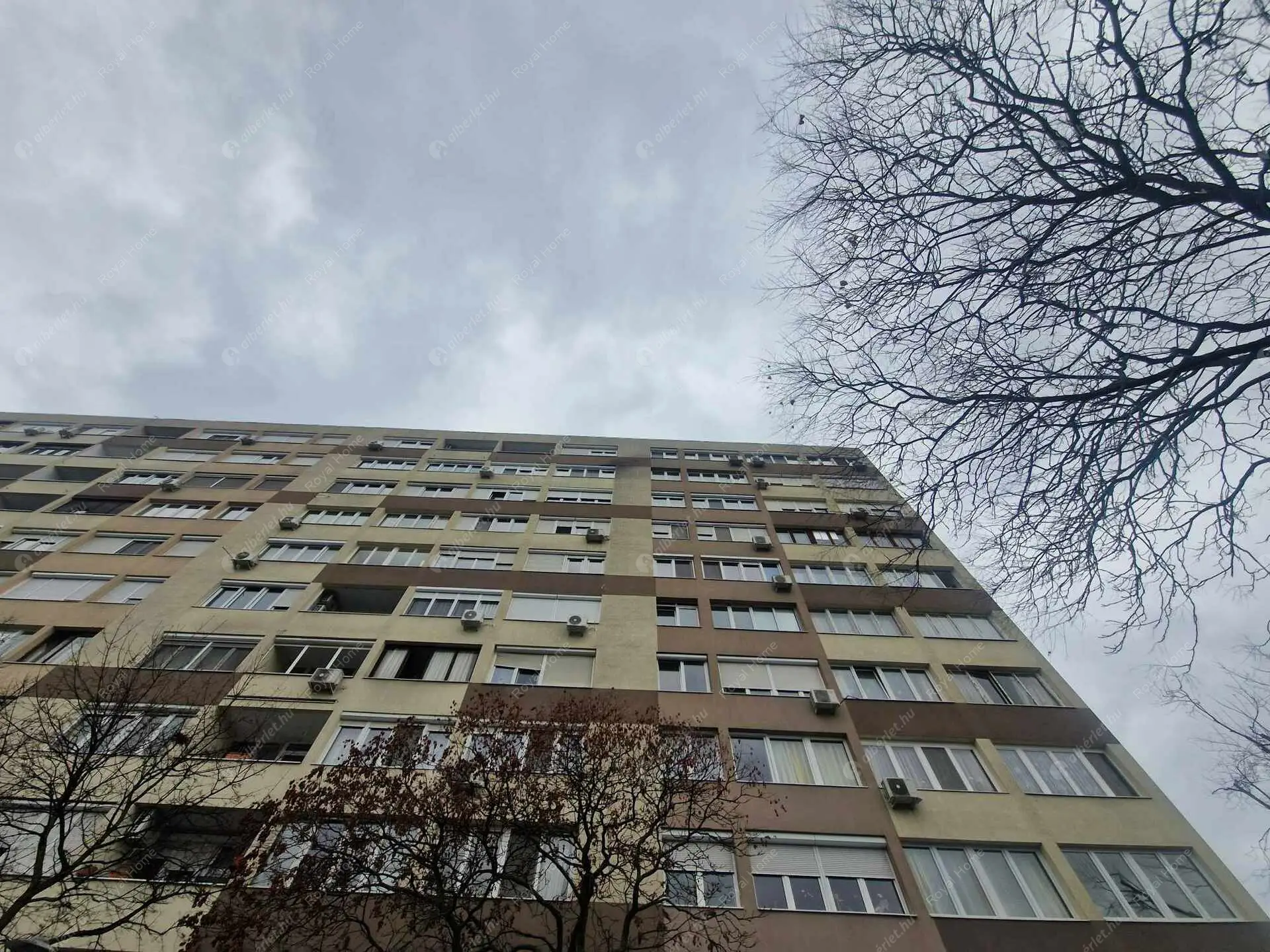 Kiadó albérlet 230000 Ft/hó áron: Budapest, XIV. kerület  Pillangó park. Mérete: 37 nm, 1 szobás | Alberlet.hu - 6426716