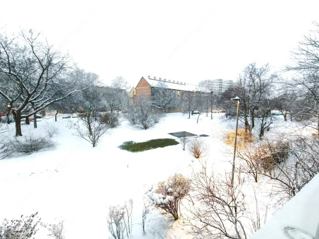Kiadó albérlet 195000 Ft/hó áron: Budapest, XIV. kerület  Pillangó park. Mérete: 49 nm, 1 szobás | Alberlet.hu - 6629984