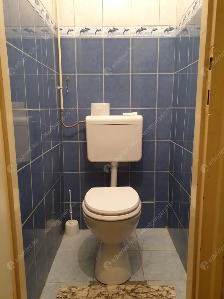 Kiadó albérlet 150000 Ft/hó áron: Budapest, XIV. kerület  Róna utca. Mérete: 32 nm, 1 szobás | Alberlet.hu - 5823077