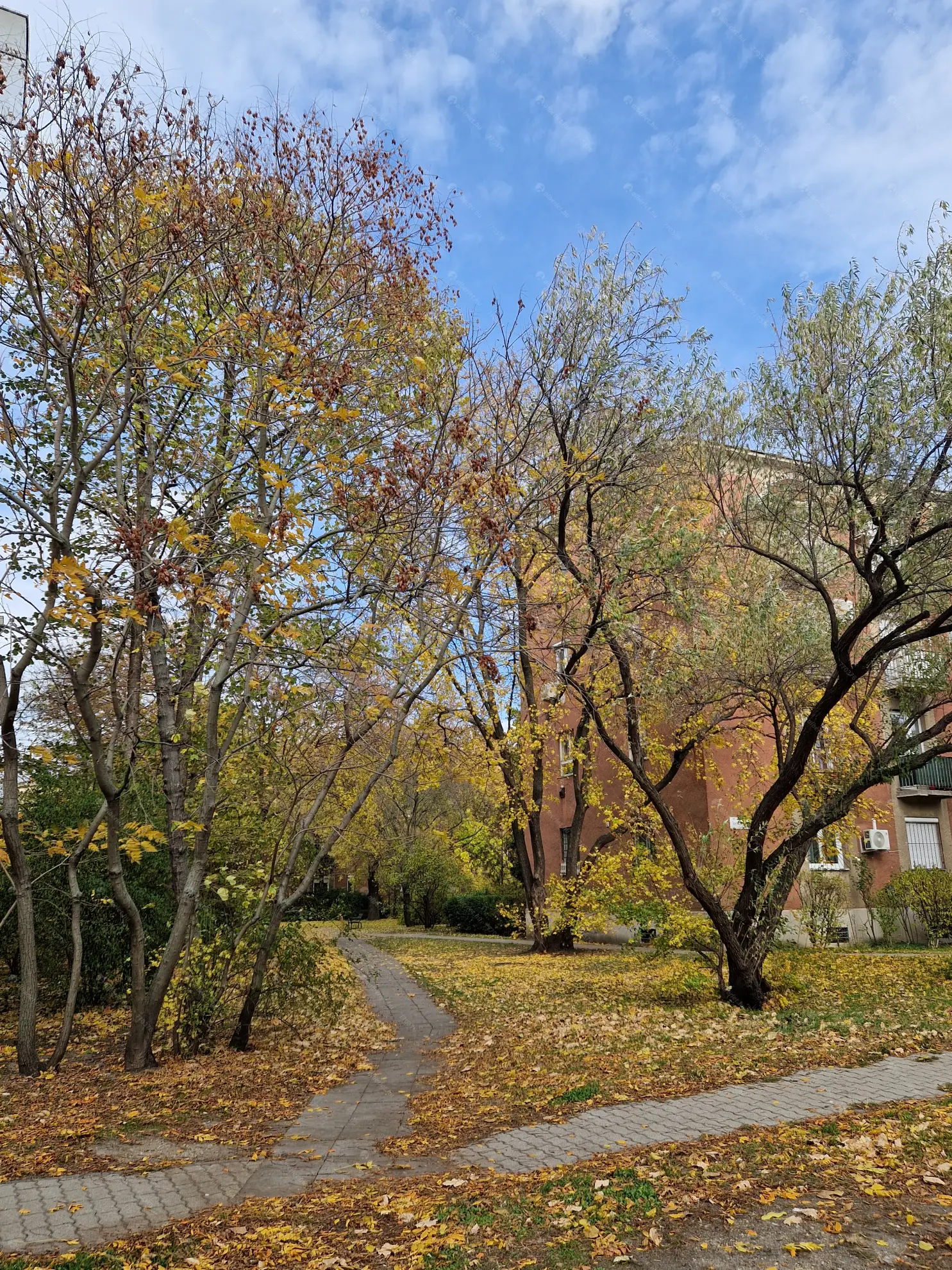 Kiadó albérlet 210000 Ft/hó áron: Budapest, XIV. kerület  Szervián utca. Mérete: 40 nm, 1 szobás | Alberlet.hu - 6571366