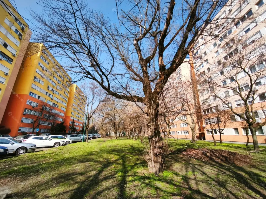 Kiadó albérlet 250000 Ft/hó áron: Budapest, XIV. kerület  Újváros park. Mérete: 46 nm, 2 szobás | Alberlet.hu - 6671690