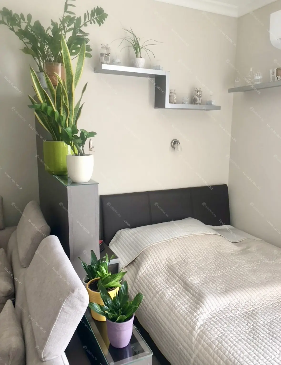 Kiadó albérlet 220000 Ft/hó áron: Budapest, XIV. kerület  Újvilág utca. Mérete: 31 nm, 1 szobás | Alberlet.hu - 6703756