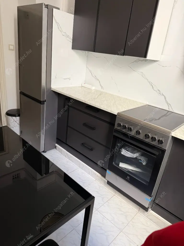 Kiadó albérlet 260000 Ft/hó áron: Budapest, XIV. kerület  Ungvár utca. Mérete: 54 nm, 2 szobás | Alberlet.hu - 6587116