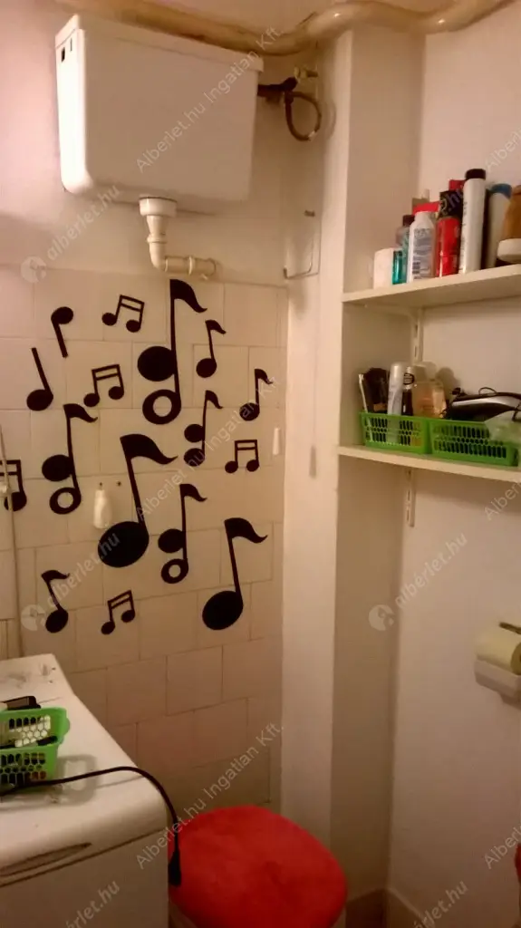 Kiadó albérlet 175000 Ft/hó áron: Budapest, XIV. kerület  Zászlós utca. Mérete: 31 nm, 1 szobás | Alberlet.hu - 6625969