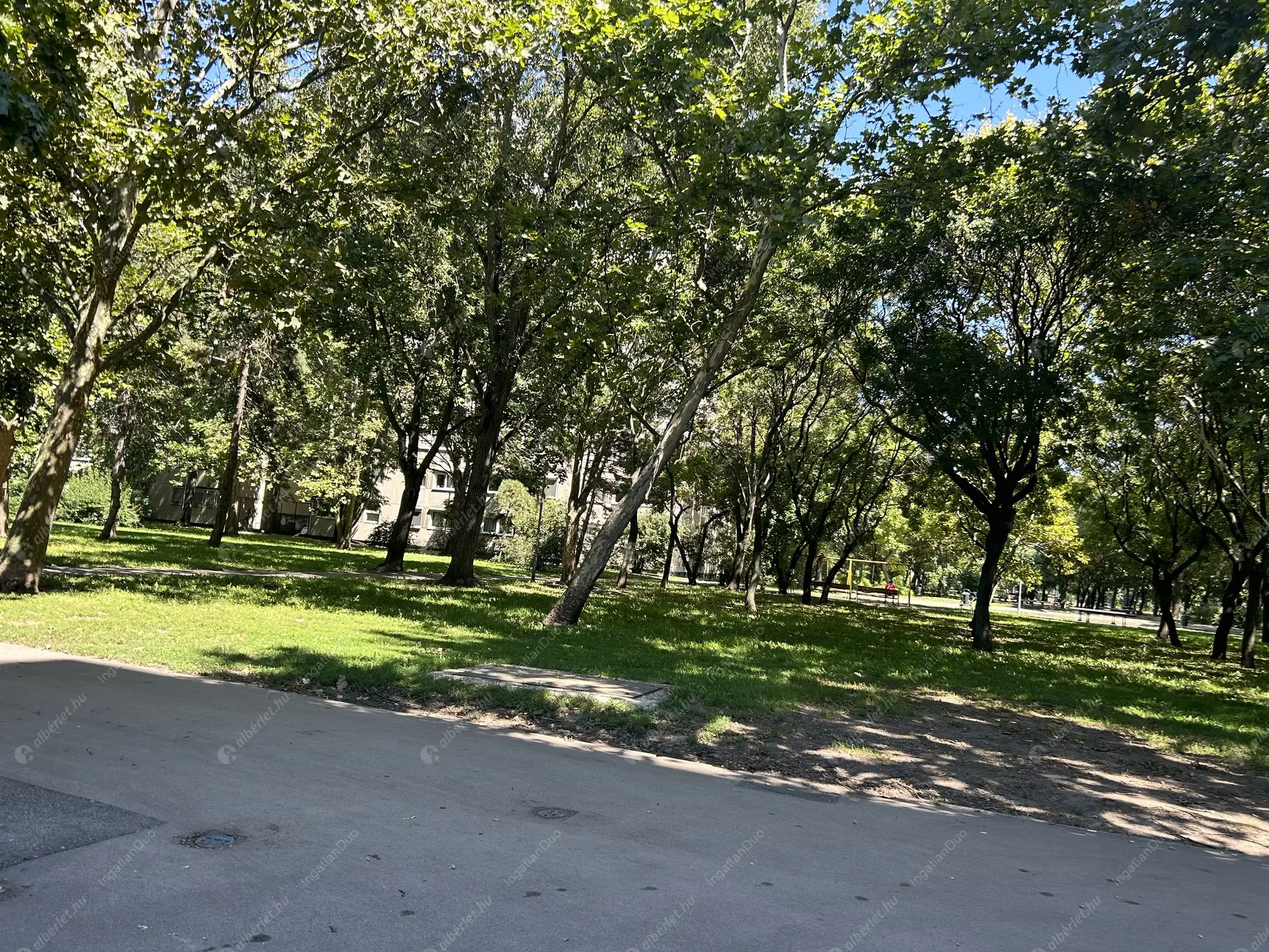 Kiadó albérlet 200000 Ft/hó áron: Budapest, XIV. kerület  Zsálya utca. Mérete: 46 nm, 1 szobás | Alberlet.hu - 6053922